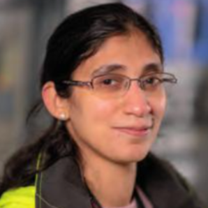 Nargis Hurzuk