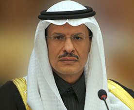 His Royal Highness Prince Abdulaziz bin Salman Al-Saud