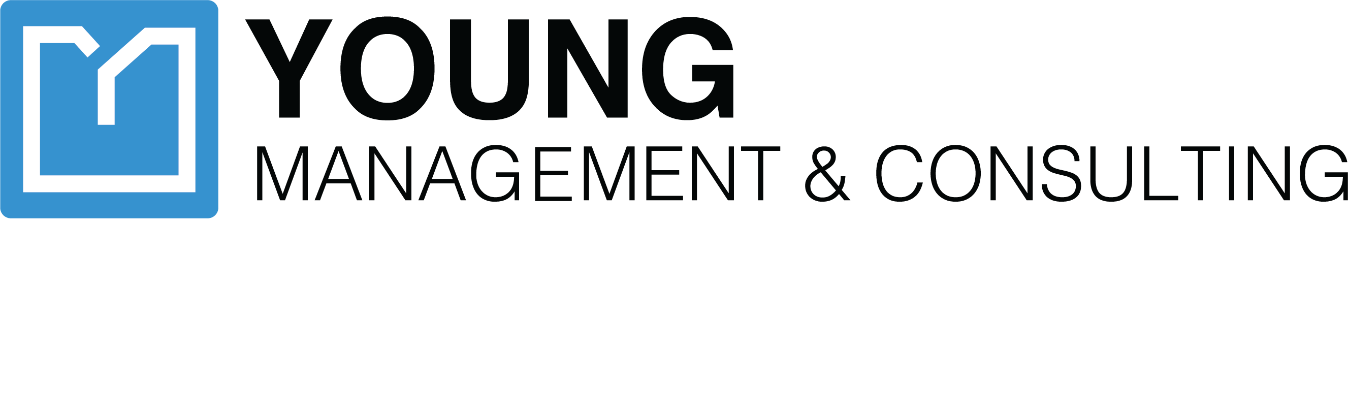Young Management Logo