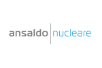 Ansaldo Nucleare (1)