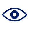 Vision