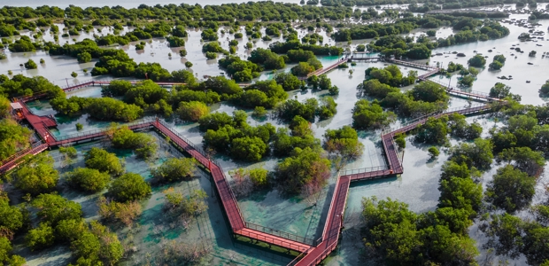 Shutterstock 2113779257