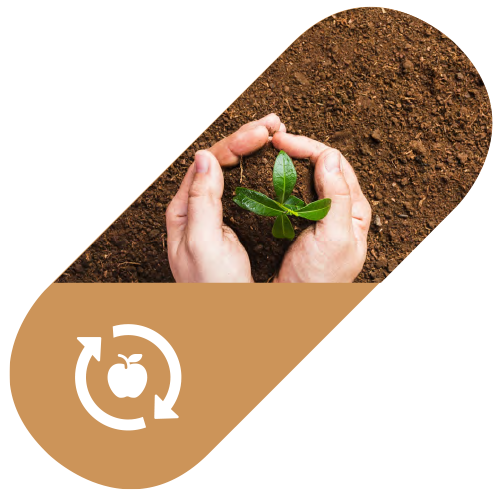 Food Food Waste Img 1 (1)